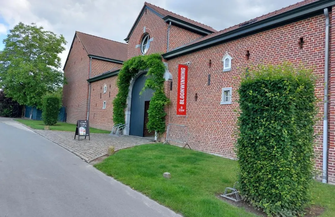 B&B Bloonwinning-1